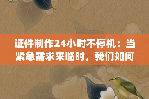 证件制作24小时不停机：当紧急需求来临时，我们如何实现"秒级响应"？