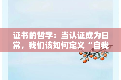 证书的哲学：当认证成为日常，我们该如何定义“自我实现”？