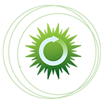 全天候在线响应